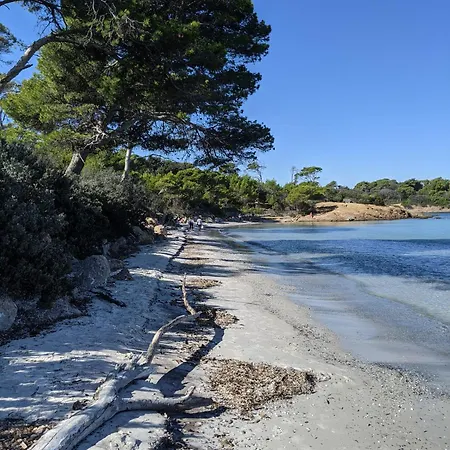 Διαμέρισμα T2 Avec Jardin, Clim & Piscine - Proche Plages Et Randos, Parking Prive - La Rascasse Ιέρ