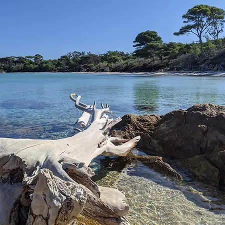 T2 Avec Jardin, Clim & Piscine - Proche Plages Et Randos, Parking Prive - La Rascasse 公寓 耶尔