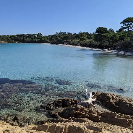 Apartman T2 Avec Jardin, Clim & Piscine - Proche Plages Et Randos, Parking Prive - La Rascasse
