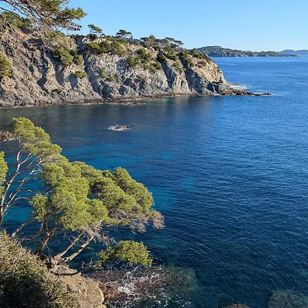T2 Avec Jardin, Clim & Piscine - Proche Plages Et Randos, Parking Prive - La Rascasse *