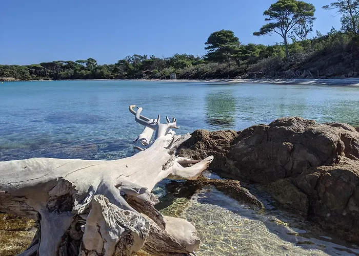 T2 Avec Jardin, Clim & Piscine - Proche Plages Et Randos, Parking Prive - La Rascasse 公寓 耶尔