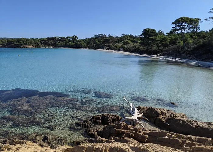 公寓 T2 Avec Jardin, Clim & Piscine - Proche Plages Et Randos, Parking Prive - La Rascasse