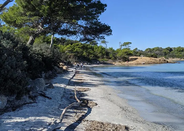 Lägenhet T2 Avec Jardin, Clim & Piscine - Proche Plages Et Randos, Parking Prive - La Rascasse Hyères