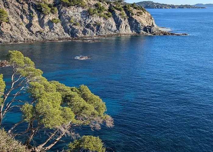 T2 Avec Jardin, Clim & Piscine - Proche Plages Et Randos, Parking Prive - La Rascasse *